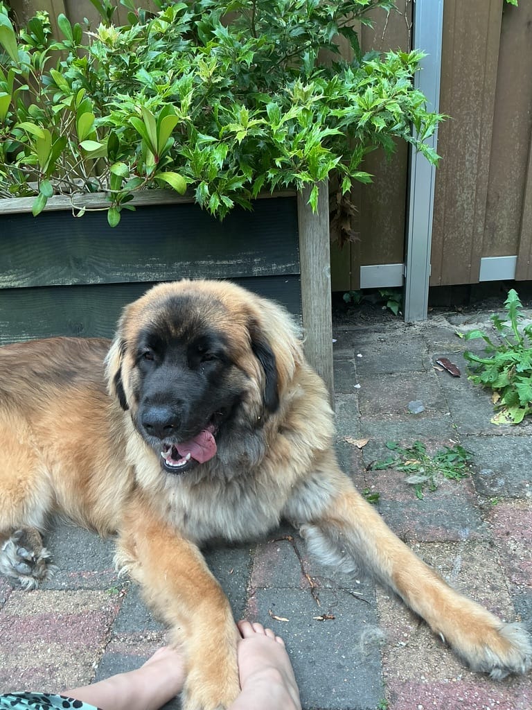 Freya!